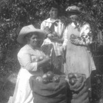 Apple Picking at Ruckle Farm (1908). L to R: Mrs. Mary Ruckle (wife of Daniel Henry Ruckle), Mrs. Helen Ruckle (wife of Alfred) and Mrs. Martha Margison (mother of Helen). This is believed to be a posed picture since women did not pick apples on Ruckle farm, leaving that to the men.