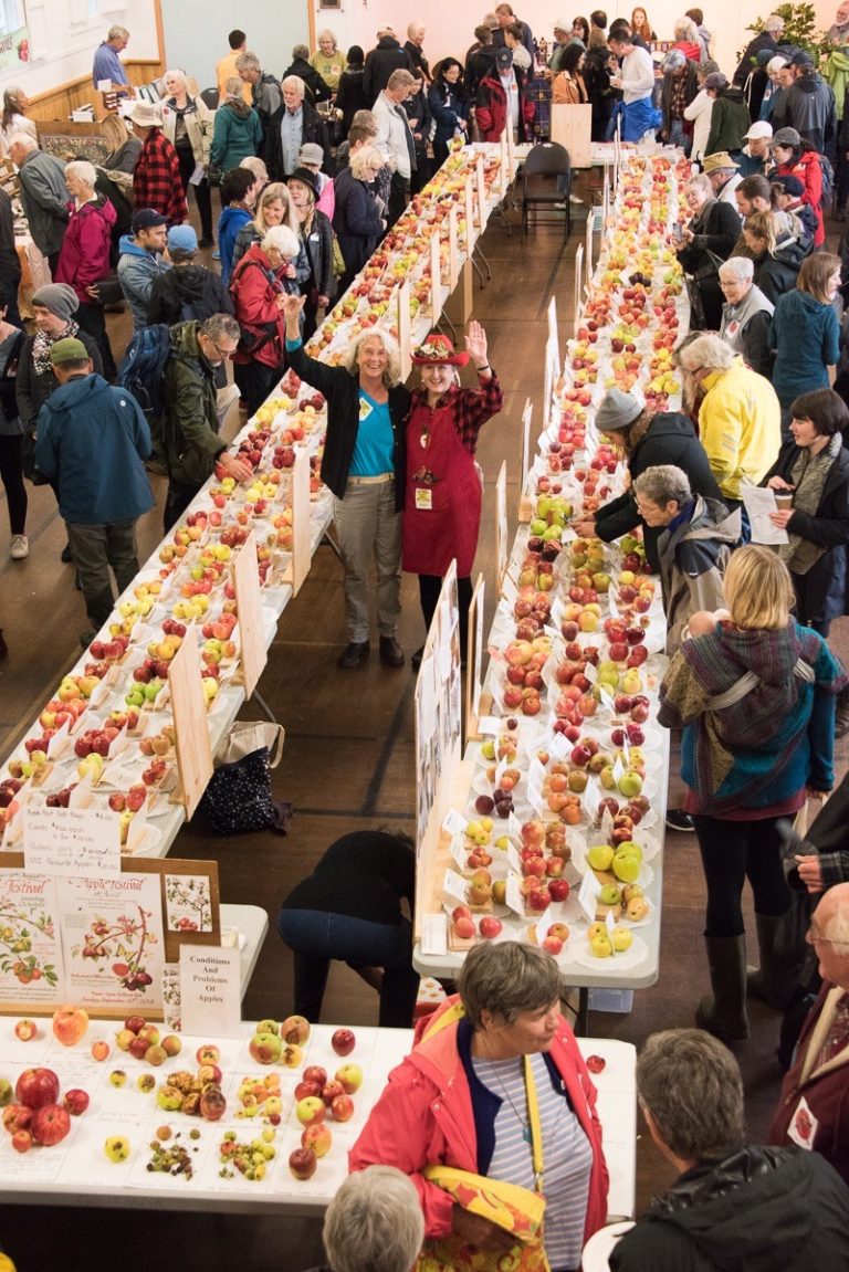 Blog Salt Spring Island Apple Festival