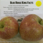 Blue Ridge King