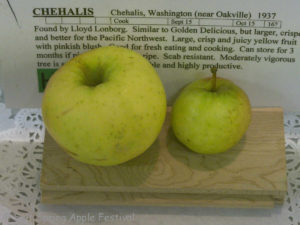 Chehalis