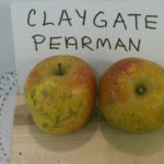 Claygate Pearman