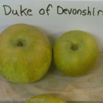 Duke of Devonshire