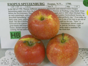 Esopus Spitzenburg