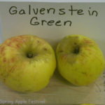 Galvenstein Green