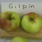 Gilpin