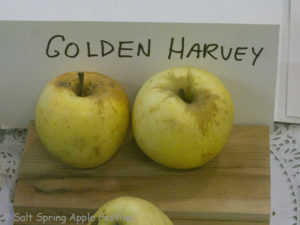 Golden Harvey