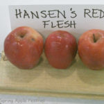 Hansens Red Flesh