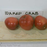Idared Crab