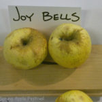 Joy Bells