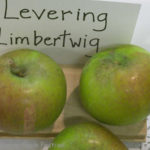 Levering Limbertwig
