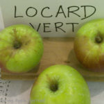 Locard Vert