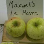 Maxwells Le Havre