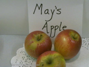 Mays Apple