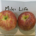 Miki Life