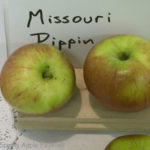 Missouri Pippin