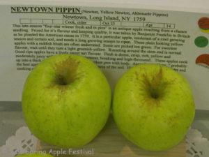 Newton Pippin
