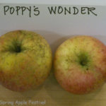 Poppys Wonder