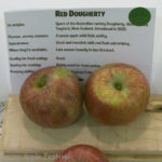 Red Dougherty