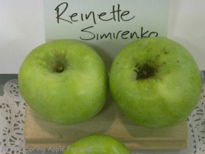 Reinette Simirenko