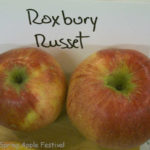 Roxbury Russet