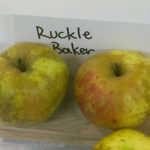 Ruckle Baker