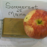 Sommerset of Maine