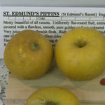 St. Edmunds Pippins