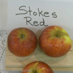 Stokes Red