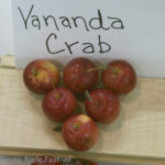 Vananda Crab