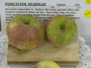 Worcester Pearmain