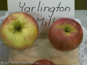 Yarlington Mill